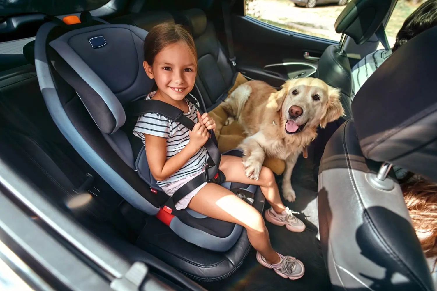 family on vacation in the car with dog