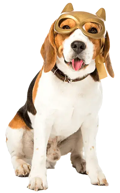 Funny cartoon dog with goggles, representing affordable pet wellness and fun pet care.